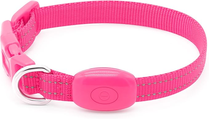 Candofly Puppy Light Up Dog Collar - USB Rechargeable LED Dog Collar for Small Dogs & Cats Night Walking (X-Small, Pink)