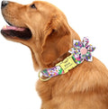 Custom Flower Dog Collar Nylon Floral Printed Pet Dog Collars Personalized Puppy Collar for Small Medium Large Dogs Cat Pitbull 157 Purple L