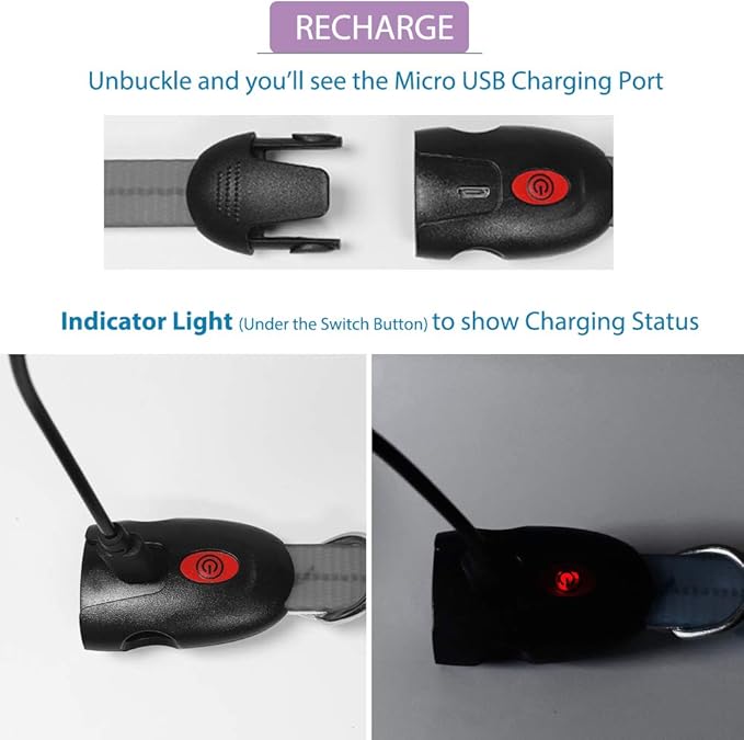 Led Dog Collar Light, USB Rechargeable Lighted Up Collars Glowing in Dark Make Pets Safe from Danger at Night