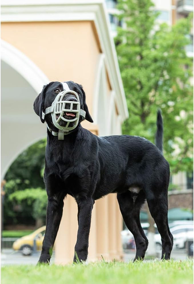 BARKLESS Dog Muzzle, Soft Silicone Basket Muzzle for Dogs, Allows Panting and Drinking, Prevents Unwanted Barking Biting and Chewing, Included Collar and Training Guide