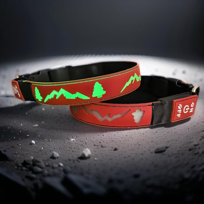Customlized Name Flashing USB-C led Light up Dog Collar with airtag Holder, Subversive 3D Design Comfortable and Soft Material,Multicolored Lighting (RED, L(15.7-19.7"))
