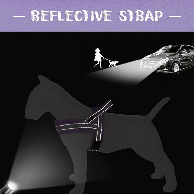 Didog No Pull Dog Harness with Soft Padded, Easy Walk Dog Harness with Quick Release Buckle, Adjustable & Reflective Pet Harness with Soft Padded for Medium Dogs (M:Chest 22-26", Purple)