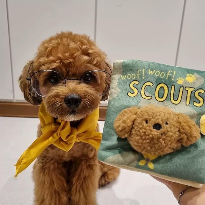 Dog Enrichment Toys, Interactive Sniff Mat Cute Slow Feeder Dog Snuffle Book Interactive Dog Toys Dog Feeding Mat Squeaky Snuffle Mat Puzzle Toys for Pet, Green