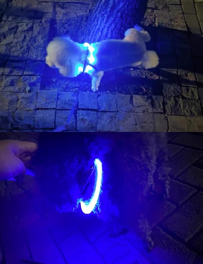 Third led Dog Collar,USB Rechargeable Light Up Dog Collars,3modes,Waterproof Dog Lights for Night Walking,Make Pet Visible and Safety for Night Walking，for Small Medium Large Dogs