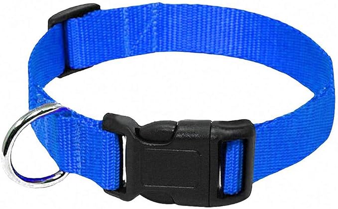 Lakke Nylon Webbing Dog Collar Heavy Duty Clip Buckle Pet Collar for Small Medium Dogs Chihuahua Dog Red Black Blue Purple 20