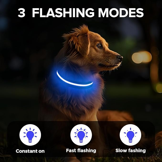 Baby Blue Medium LED Dog Collar | Night Walks just got Safer | Ultra-Bright LED Collar | USB Rechargeable | Waterproof | Adjustable & Durable | 4 Light Modes | Keep Your Pup & Yourself Safe!