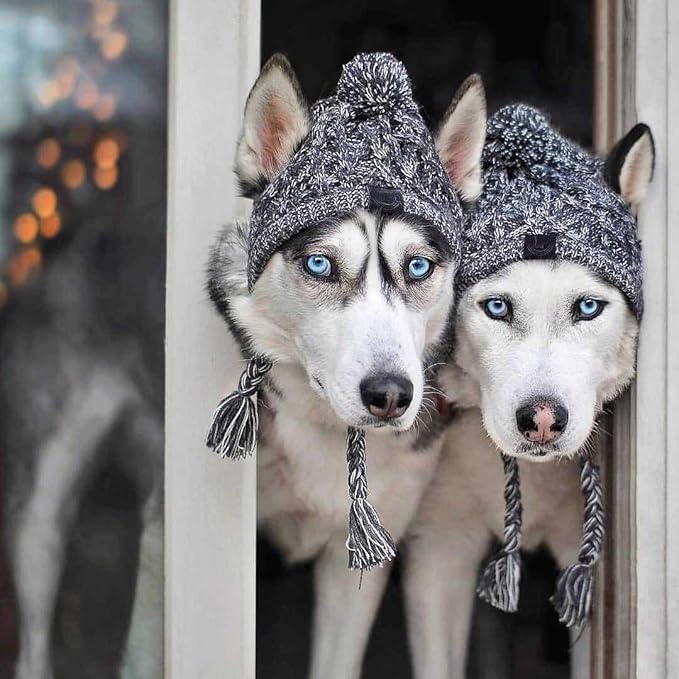 Dog Kintted Hat,Winter Warm Woolen Cap for Small Medium Large Dogs,Puppy Pom Pom Hat Headwear Costume Accessory (Grey L)