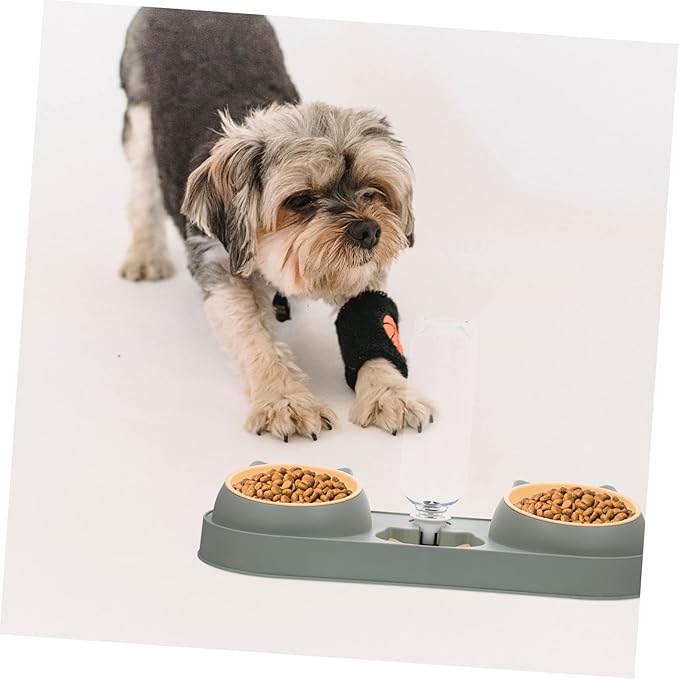 Totority Dog Food Dispenser Automatic Feeder Pet Feeding Bowl Shatter-Resistant Easy to Use Random Style