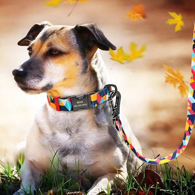 Nylon Dog Collar Leash Set Soft Personalized Dogs Collars Lead Padded with Safety Buckle for Small Medium Large Dogs Pet Pitbull Orange M
