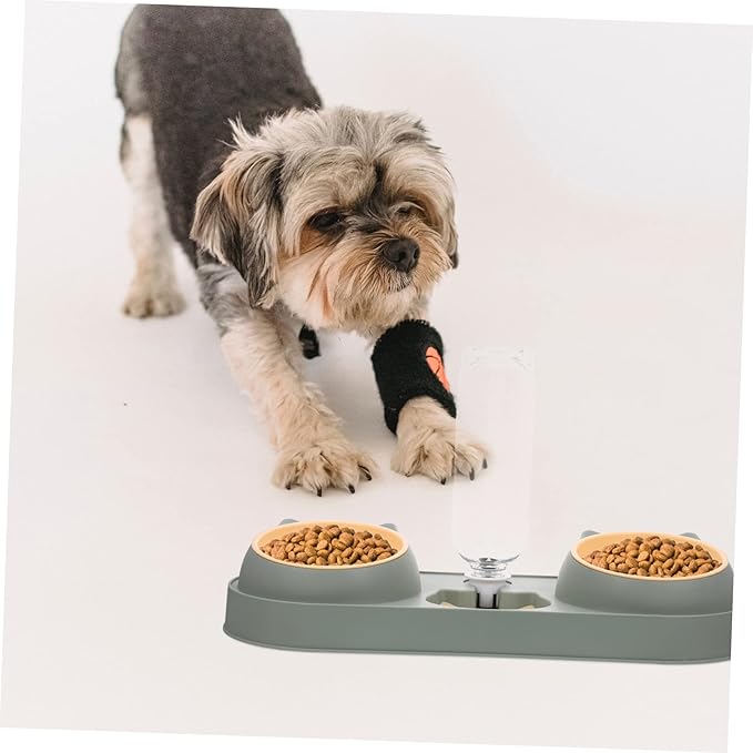 Generic Automatic Double Bowl Pet Feeder with Drinking Water Dispenser Bite Resistant and Skid Cat and Dog Food Holder for Home Use Easy to Fill and Stable Design