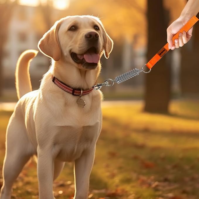 Heavy Duty Dog Leash, Chew Proof Metal Leash for Large Dogs (Up to 250lbs), WireRope Dog Leashes with Soft Silicone Grip (Orang Short, 1.5 FT)