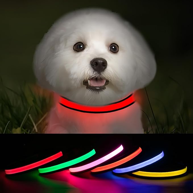 Lighted Dog Collar for Night Walking, Flashing Led Dog Collar, USB Rechargeable Glow Collars for Dogs, Adjustable Light Up Dog Collars (Red, Pack of 1, XS)