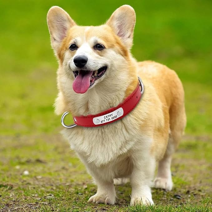 Large Durable Personalized Dog Collar PU Leather Padded Pet ID Collars Customized for Small Medium Large Dogs Cat 4 Size Red XL