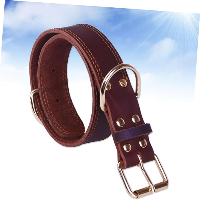 Genuine Leather for Small Medium Large Breeds Durable Grade Design Comfortable Padded Neck Protection for and Walking