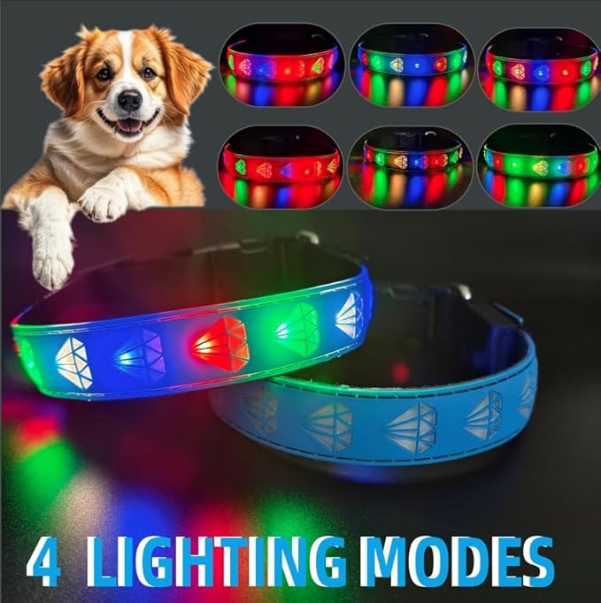 Customlized USB-C led Light up Night Walking Dog Collar with Waterproof airtag Holder, 4 Modes Running Flashing Light (Blue, L(15.7-19.7"))