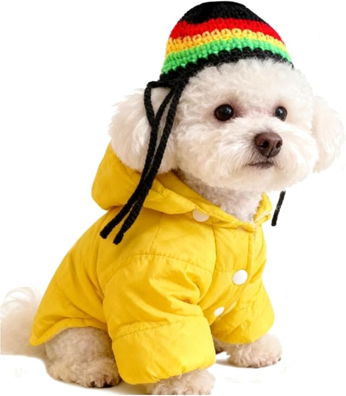 Puppy Knitted Hat & Wig | Winter Dog Bonnet，Keep Your Small Dog Warm and Stylish in This Soft, Knitted Winter hat with Attached Dreadlocks. Perfect for Christmas, and Holiday photoshoots