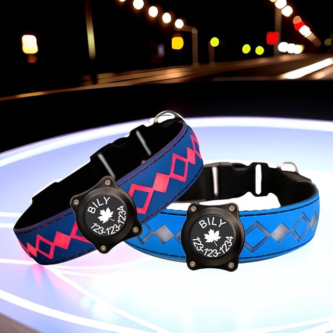 Personalized Flashing Night Dog Collar with Waterproof airtag Holder for Black Dog Night Walking (Blue, L(15.7-19.7"))