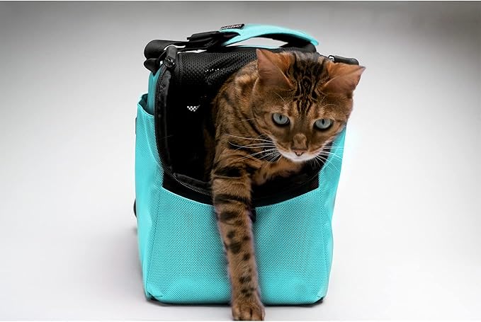 Sleepypod Atom - Airline Approved Pet Carrier and Crash-Tested Car Seat for Cats and Dogs up to 12 lbs. (Charcoal Gray)
