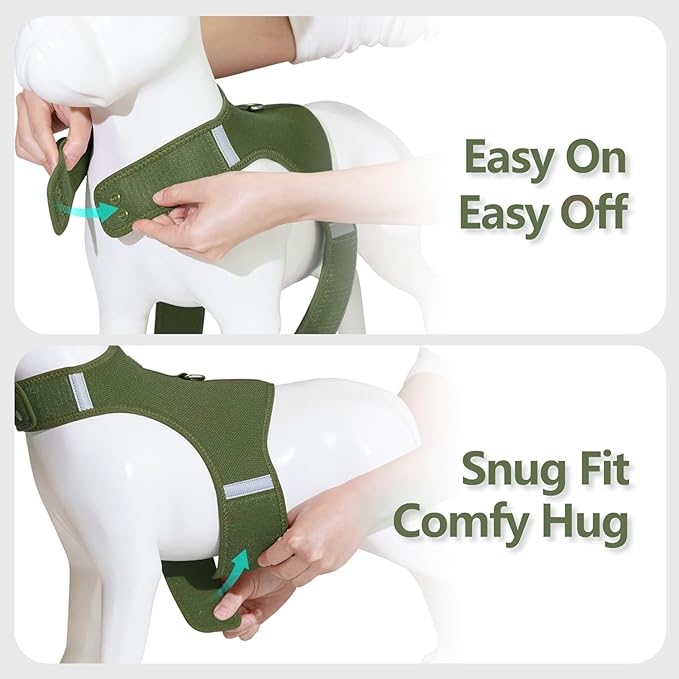 Dog Harness for Puppy – Adjustable Reflective Easy Put On Soft Mesh Vest for Small Dogs with 2 Patches (Misty Green,M)