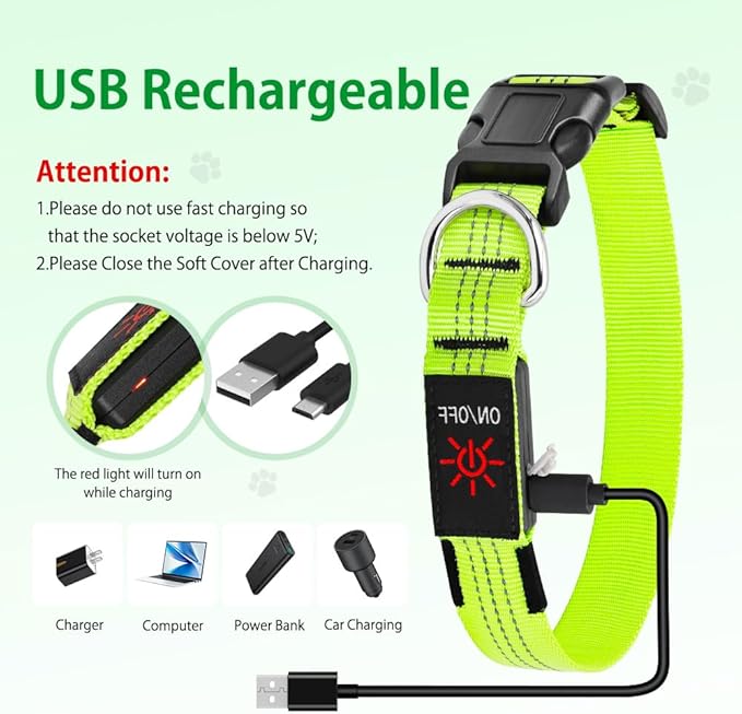 Light Up Dog Collars - USB Rechargeable Reflective LED Dog Collar, Water-Resistant Glow Pet Collar Lights for Night Walking Camping (Green, Medium)