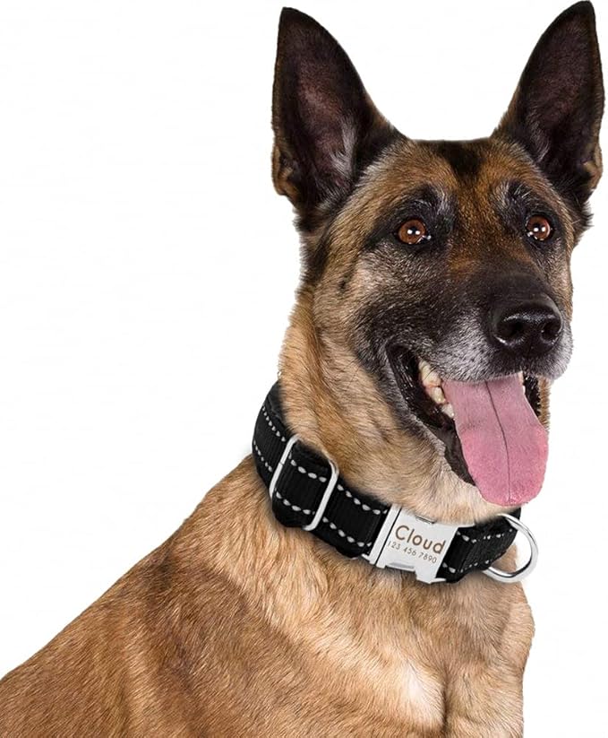 Dog Collar Personalized Reflective Large Dog Collars Nylon Adjustable Costomized Collar for Small Medium Big Dogs Pet Pitbull Black L