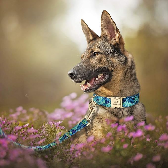 Personalized Floral Dog Collar and Leash Set Custom Small Medium Large Dog Pet ID Collar Lead Flower Print Dog Engraved Collars Blue Leash M