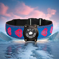 Personalized Dog Collar Waterproof airtag Dog tag Holder,USB C Light up Night Black Dog Collar (Blue, S(7.87-11.8"))