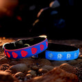 Subversive USB-C led Light up Airtag Dog Collar, Subversive 3D Sunflower Design Comfortable and Soft Material,Multicolored Lighting (D-Blue, M(15.7-19.7"))