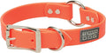Terrain D.O.G. Brahma Webb Hunting Dog Collar