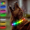 Light Up Dog Collar - Multicolor LED Dog Collar with 3 Glow Modes, Rechargeable Glow in The Dark Dog Collars for Small, Medium & Large Dogs, 1000 Ft Visibility, IPX7 Waterproof (Black, S)