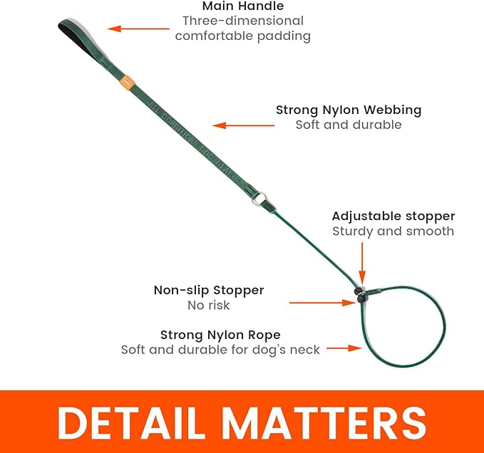 Howgo Dog Slip Lead Dog Leash, Training Leash, No-Pull Lightweight Slip Lead and Collar, Heavy Duty & Durable, Padded Handle, for All Breeds (Red, 3.6FT)