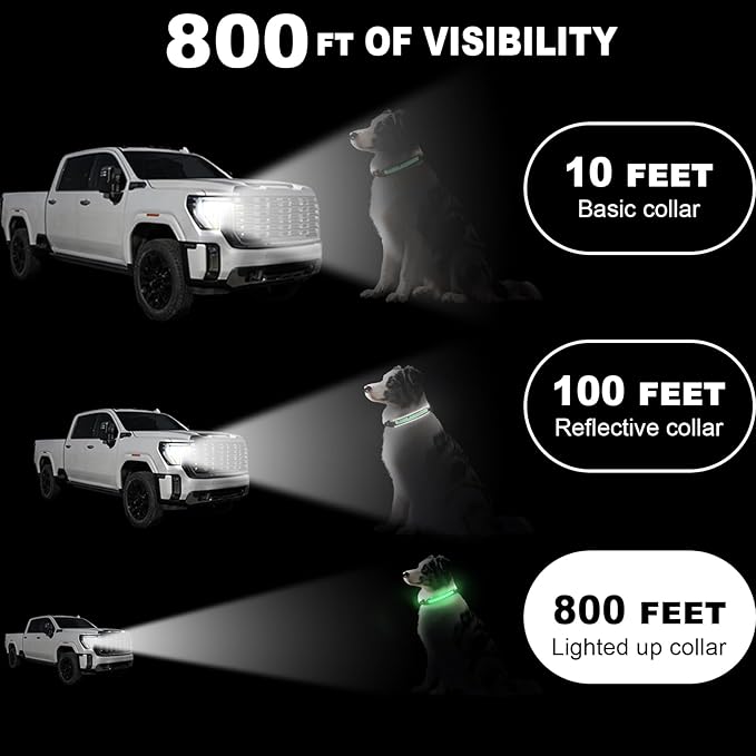 Light Up Dog Collar-Rechargeable & Long-Lasting Power LED Dog Collar Lights for Night Walking, Waterproof & Safety Glowing Collars for Small Dogs [Green-S]