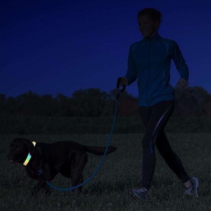 LED Pet Collars USB Rechargeable, Light Up Dog Collars Waterproof and Rechargeable, Flashing Glow in Dark Dog Collars, Adjustable Lighted Small Medium Large Dogs Collars for Night Walking.