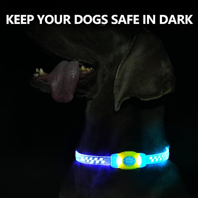 LaRoo LED Light Up Dog Collar, Type-C Rechargeable, Multi-Color Glowing Safety Pet Collar, Cuttable IP67 Waterproof, Night Walk High Visibility Collar Safety Dog Light for Small Medium Dogs (Green)