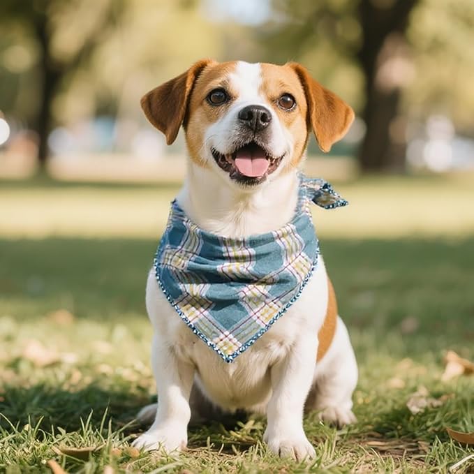 Double Layers Two Tones Dog Cotton Square Bandana Bibs Scarf Kerchief for Small Medium Dogs Boy or Girl - DCB12 G&W