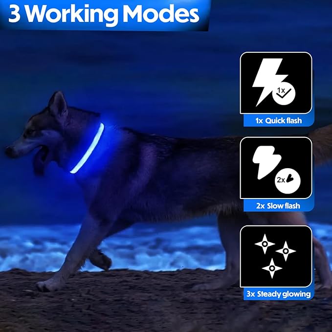 Light Up Dog Collar – Reflective, Adjustable & Rechargeable Electronic Glow Pet Collars – Bright, Comfortable, High Visibility LED Dog Collar for Night Safety, Outdoor Walk, Flashing Fun, Blue, Medium