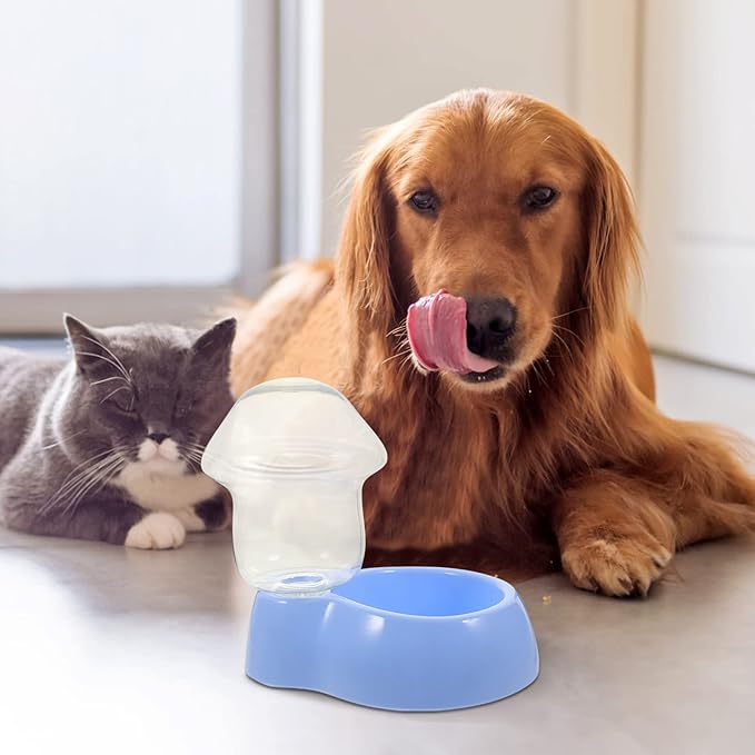 Automatic Dog Water Feeder Large Bowl Pet Drinking Tool Outdoor Pet Water Bowl Dispenser