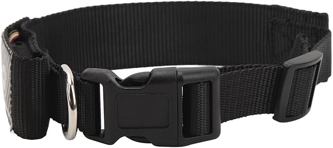 Programmable LED Dog Collar with App Control, Rechargeable High Visibility Yellow Pet Safety Collar for Night Walks, Compatible with SPOTLED App