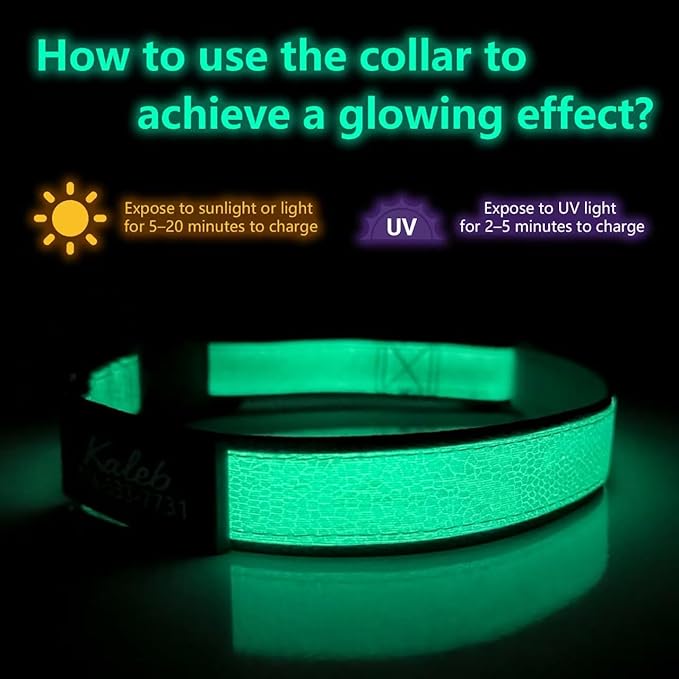 Personalized Glow in The Dark Embroidered Dog Collar, Luminous Custom Dog Collar with Name and Number, Fluorescent Glow Lighted Dog Collars for Night Adjustable Length Fits All Dogs