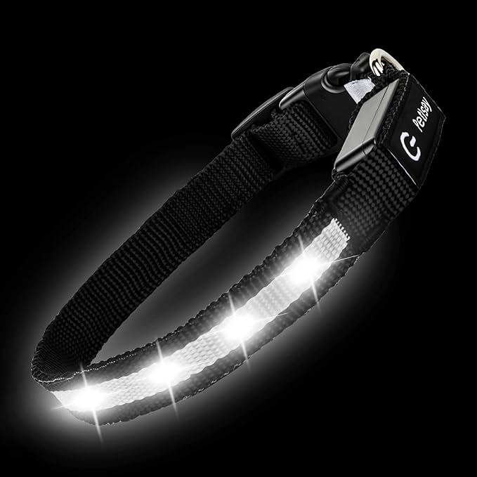 LED Dog Collar for Small Dogs Cats - Fully Waterproof & Adjustable Glow Collar - USB-C Rechargeable for Night Walking, Safety - Flashing Lighted Collar for Dogs(White,XS)