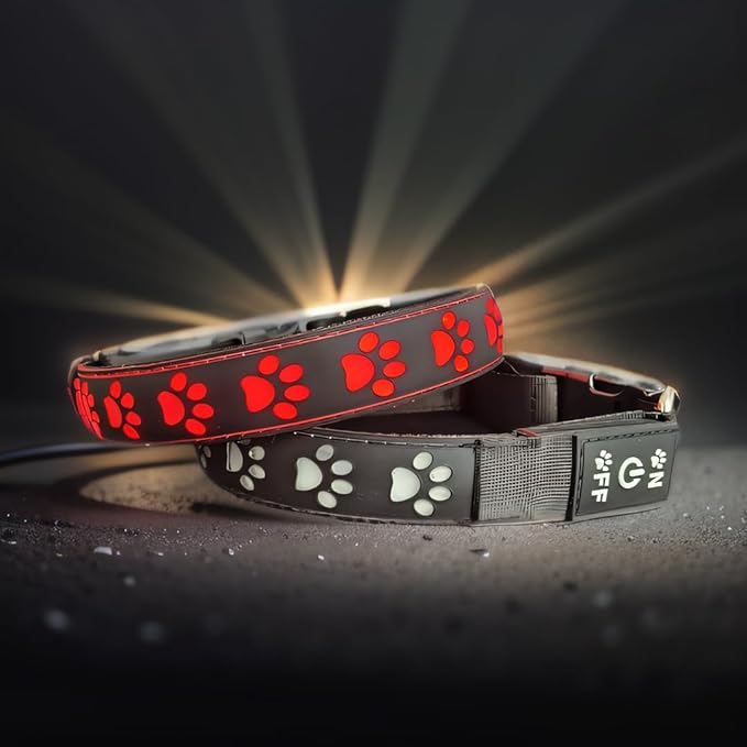 Personalized Flashing USB-C led Light up Dog Collar with Airtag Holder, Waterproof,15 Modes Changing (Black, XL(19.7-23.6"))