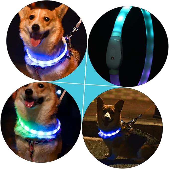 DECHOUS USB Rechargeable LED Glowing Pet Dog Collar and Cuttable Night Safety Flashing Collar Light for Dogs
