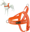 Plutus Pet No Pull Dog Harness with Breathable Mesh Padded, Adjustable Reflective Escape Proof Dog Harness, Quick Fit Dog Vest Harness for Small Medium Large Dogs(XXS, Orange)
