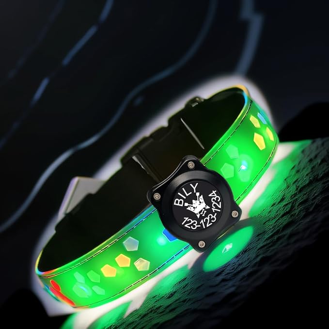 Personalized USB-C led Light up Flashing Night Dog Collar with Waterproof airtag Holder, 4 Modes Running Flashing Light (Green, M(11.8-15.7"))