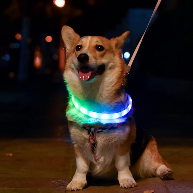 Led Dog Collar, USB Rechargeable Lighted Collar Band with Color Changeable,Cuttable Dog Lights Collars for Night Walking for Small Medium Large Dog