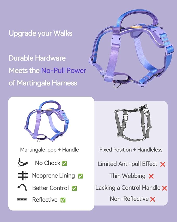 DF Freedom No Pull Martingale Dog Harness, Gentle Control for No Choking, Front Clip Harness with Reflective, Adjustable & Padded Handle for Easy Walking & Training, Rainbow, 3/4", Chest 20"-26.8"