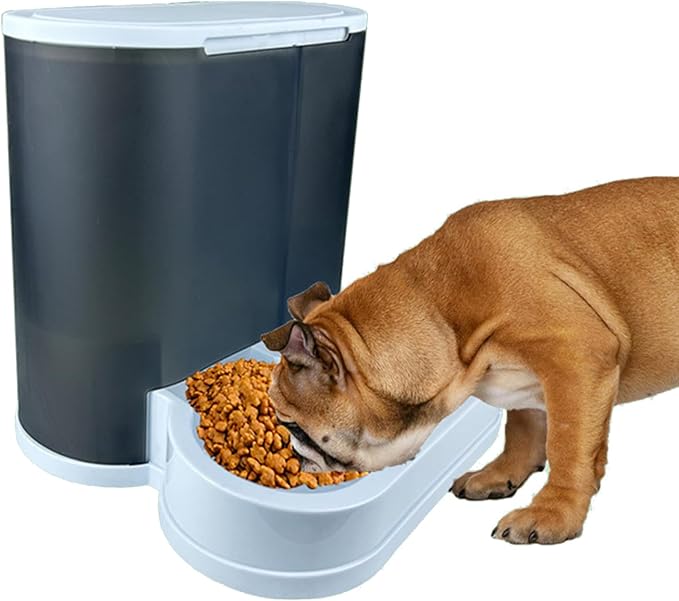 Large Capacity Pet Feeders with Water Dispenser Small Dog Cats Food Bowl Automatic Water Dispenser Watering Feeding Supp
