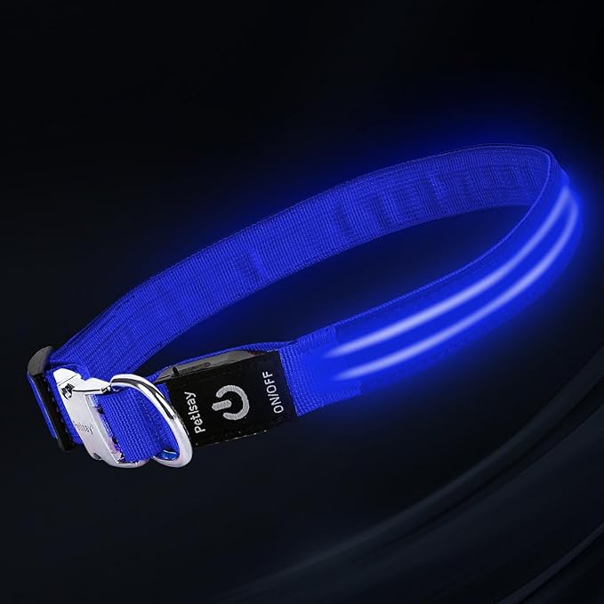 LED Dog Collar with Metal Buckle - USB Rechargeable Glow Collar for Dogs, Waterproof Light Up Dog Collar w/Reflective Strips - Adjustable Night Safety Collars by PetIsay(Blue,Large)