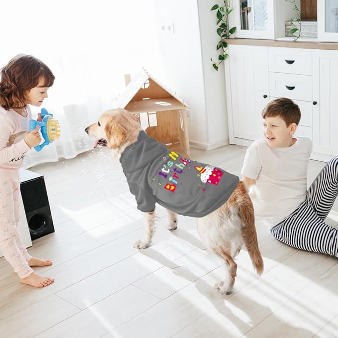 GreenJoy Dog Sweater Dog Hoodie Cold Weather Coat Hooded Sweatshirt for Puppies,Cats, Small Medium Large Dogs (Grey(It's My Birthday), Large)