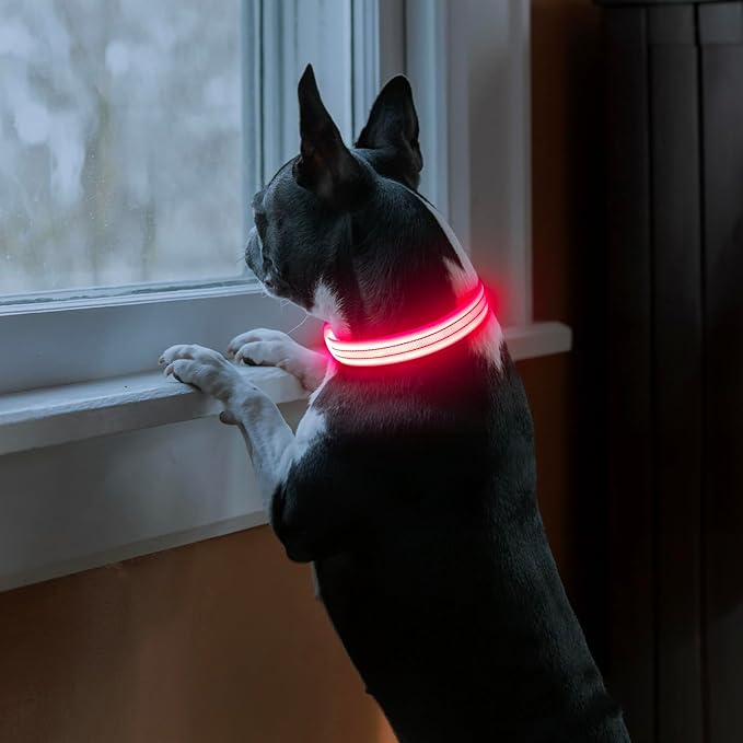 Light Up Dog Collars Rechargeable, Reflective LED Glow Dark Dog Collar for Small Medium Large Dogs, Adjustable Pet Dog Lights for Safe Night Walk-Pink, Small